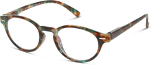 Synoptik Læsebriller IBLT04