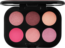Connect In Colour Eye Shadow Palette Rose Lens