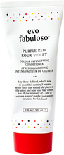 Fabuloso Purple Red Colour Treatment 220 ml