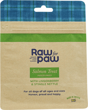 Hundgodis Raw for Paw Salmon Treat 50g