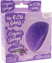 The Eco Gang Konjac-sieni Laventeli