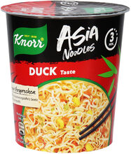Knorr 3 x Asia Noodles mit Ente