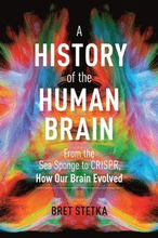 A History of the Human Brain