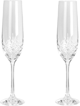 Stiernholm - Viola champagneglass 19 cl 2 stk
