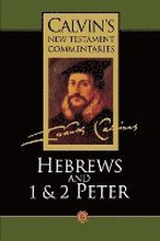 Calvin's New Testament Commentaries: Vol 12 The Epistle of Paul the Apostle to the Hebrews and the First and Second Epistles of St. Peter