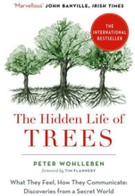 Hidden Life Of Trees