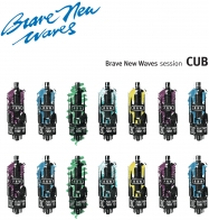 Cub: Brave New Waves Session