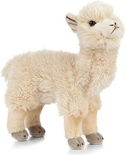 Knuffel alpaca/lama wit 24 cm knuffels kopen