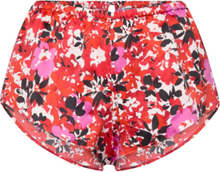 Niki Shorts Shorts Multi/patterned Passionata