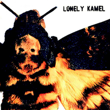 Lonely Kamel: Death"'s-head Hawkmoth