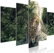 Lærredstryk Leopard Lying (5 dele) Lysegrøn