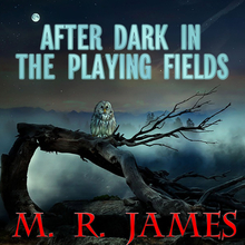 After Dark in the Playing Fields