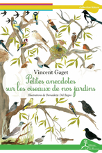 Petites anecdotes sur les oiseaux de nos jardins