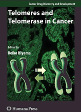 Telomeres and Telomerase in Cancer