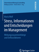 Stress, Informationen und Entscheidungen im Management