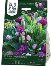 Höstlök Nelson Garden Tulpan/Hyacint LM Pink Perfume