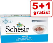 5 + 1 gratis! Schesir Small in Gelee 6 x 50 g - Thunfisch in Kochwasser