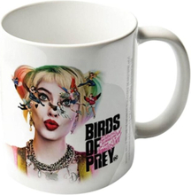 Birds Of Prey Seing Stars Harley Quinn Mug