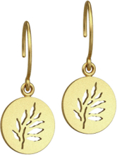 Signature Earring - Gold Øredobber Smykker Gull Julie Sandlau*Betinget Tilbud