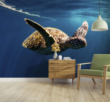 Schildpad onderwater fotobehang behang
