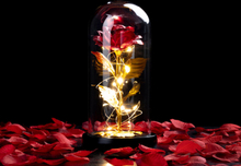 Fortryllet Rose Lampe - Spralla