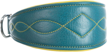 Trixie Active Comfort Halsband für Windhunde, petrol/gelb - Grösse S–M: 33–42 cm, B 60 mm