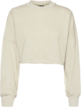 Sportswear Studio Lounge Summer Crew Sweatshirt W Sport Sweatshirts & Hoodies Sweatshirts Grey Adidas Sportswear