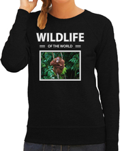 Orang oetan aap foto sweater zwart voor dames - wildlife of the world cadeau trui Orang oetans liefhebber