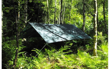 DD Hammocks Tarp Forest Green, 300 x 300 cm, 790g