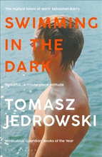 Swimming in the Dark - 'One of the most astonishing contemporary gay novels