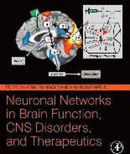 Neuronal Networks in Brain Function, CNS Disorders, and Therapeutics