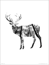 Exklusivt Art Print - Deer Woods