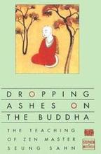 Dropping Ashes on the Buddha