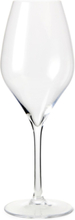 Premium Champagneglas 37 Cl Klar 2 Stk. Home Tableware Glass Champagne Glass Nude Rosendahl