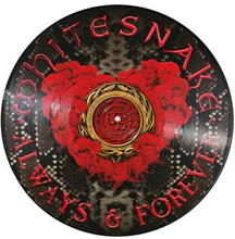 Whitesnake: Always & forever (Picturedisc)