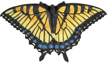 Gekleurde pages vlinder dieren magneet 7 cm