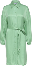 Slfirene-Tonia Ls Cupro Shirt Dress B Knælang Kjole Green Selected Femme