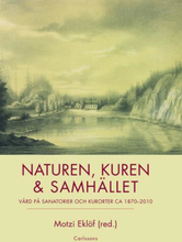 Naturen, Kuren & Samhället - Vård På Sanatorier Och Kurorter Ca 1870-2010
