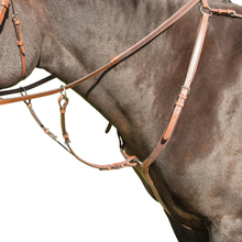 Avignon Läder häst bröstplatta