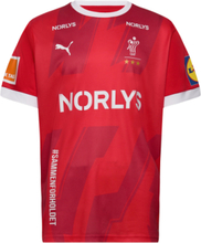 Dansk Håndbold Home Jersey Sport T-Kortærmet Skjorte Red PUMA