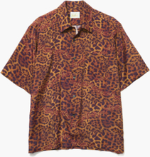 Aries - Leopard Chains Hawaiian Shirt - Multi - S