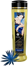 Shunga: Erotic Massage Oil, Seduction Midnight Flower, 240 ml