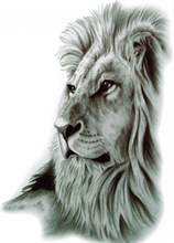 Lion's Pride (Fake Tattoo)
