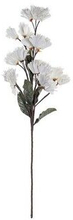 Dekorativ blomst DKD Home Decor EVA (Ethylvynilacetat) (22 x 100 cm)