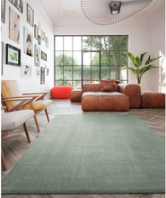 Dutch Lifestyle Teppe New York 290x200 cm grønn