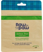 Hundgodis Raw for Paw Salmon Treat 50g