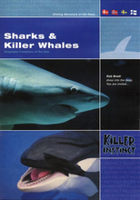 Killer instinct / Sharks & Killer whales