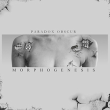 Paradox Obscur: Morphogenesis