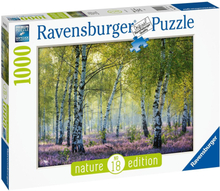 Ravensburger - Puzzle 1000 - Birch Forest