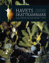 Havets Skattkammare - En Upptäcktsresa I Finlands Marina Undervattensnatur
